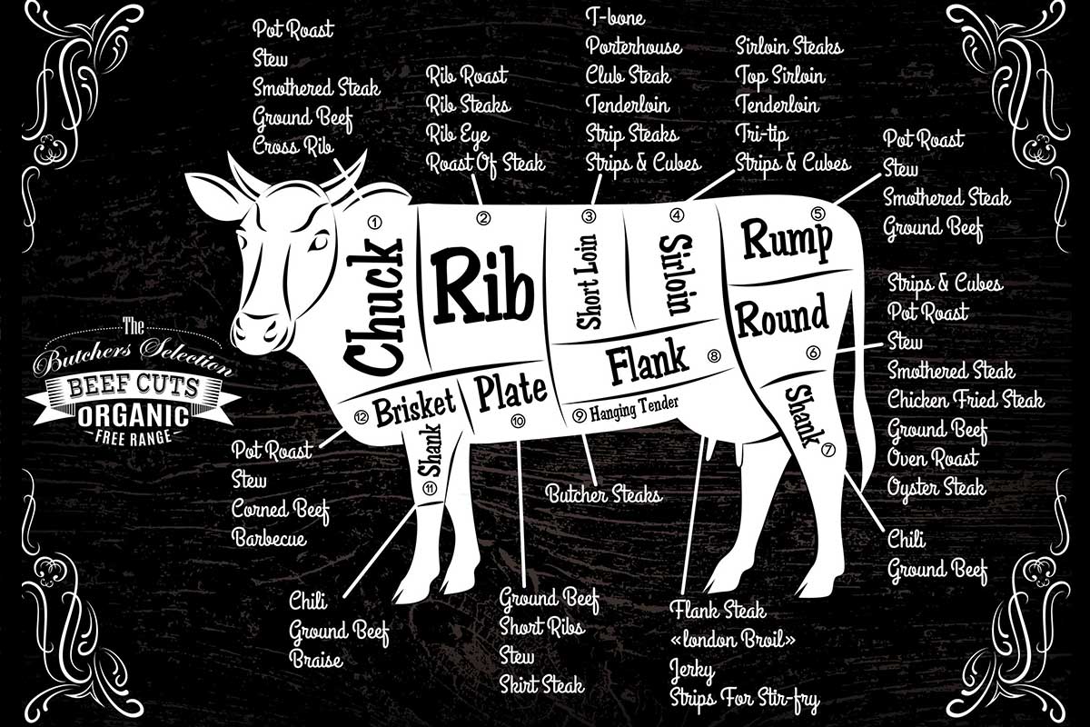 Rindfleisch Diagramm
