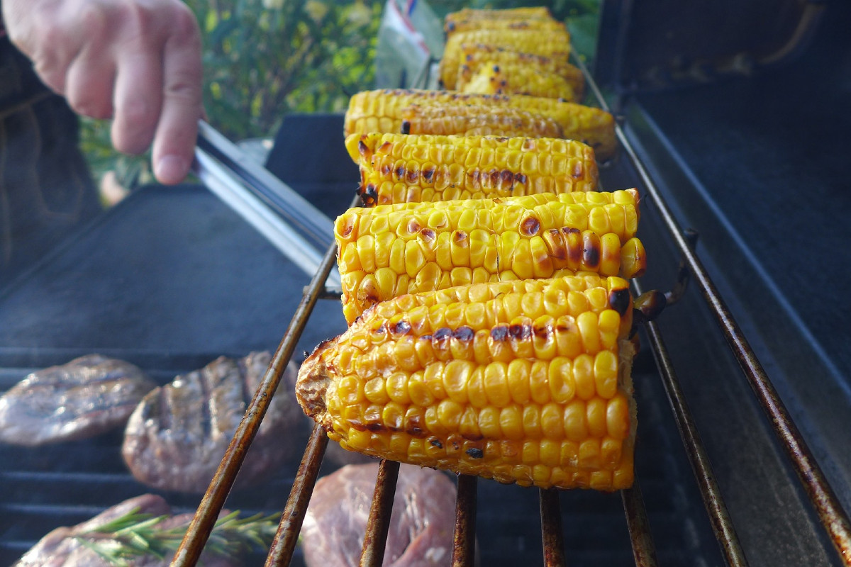 Gegrillte Maiskolben