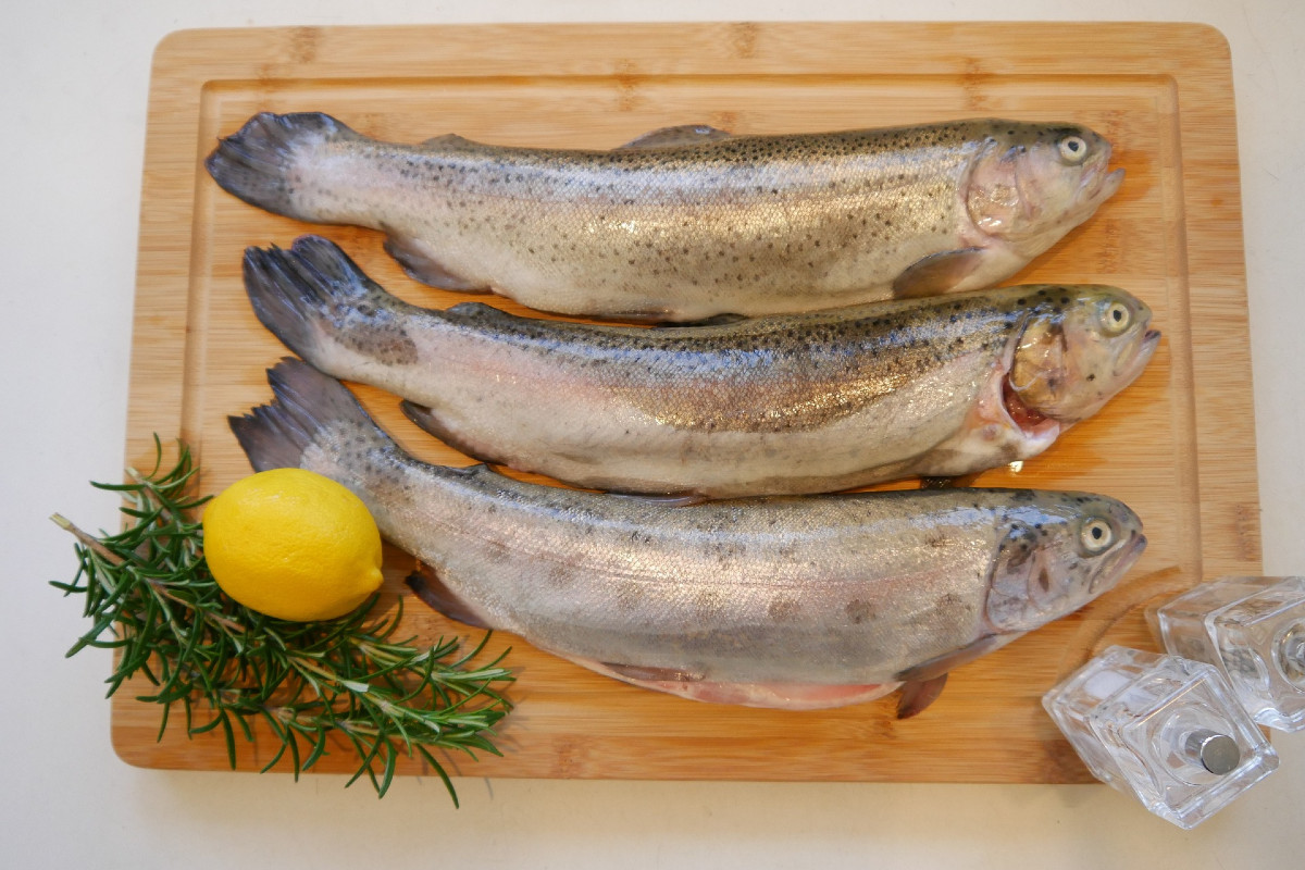 Forelle räuchern Zutaten