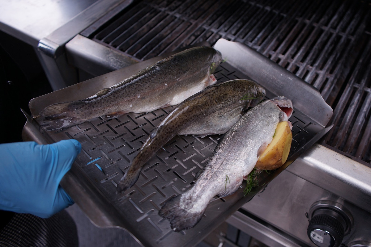 Gefüllte Forellen auf dem Stahlblech