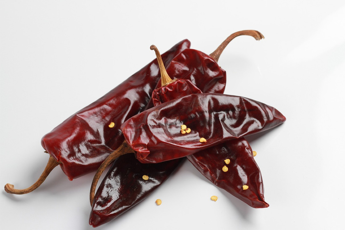 Guajillo - mexikanische Chilisorte